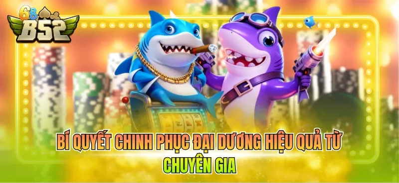 Bí quyết chinh phục đại dương hiệu quả từ chuyên gia