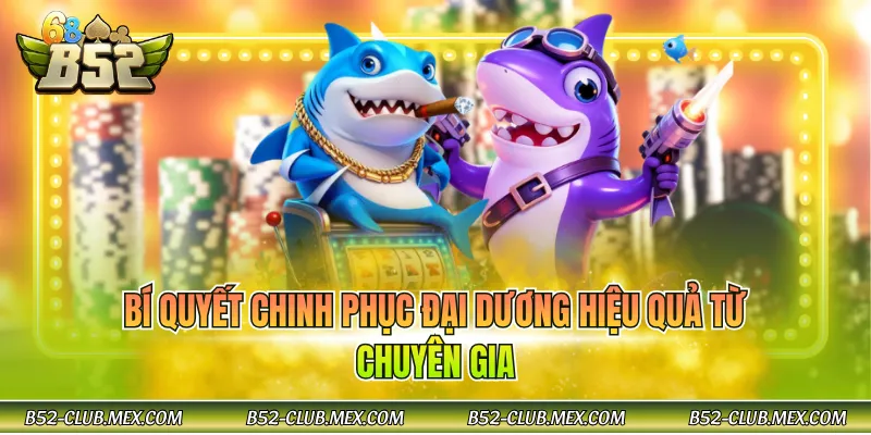 Bí quyết chinh phục đại dương hiệu quả từ chuyên gia