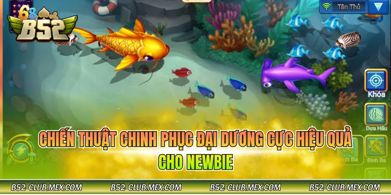 Chiến thuật chinh phục đại dương cực hiệu quả cho newbie