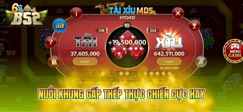 Nuôi khung gấp thếp thực chiến cực hay